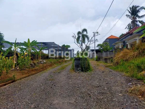 image RUMAH MINIMALIS 2KT DI SAMBANGAN BULELENG BALI (5)