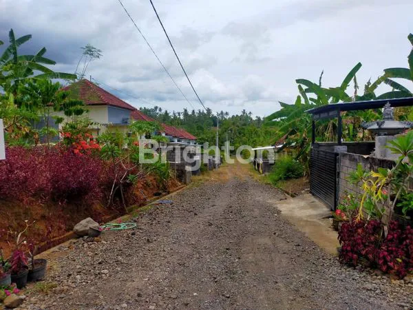 image RUMAH MINIMALIS 2KT DI SAMBANGAN BULELENG BALI (6)