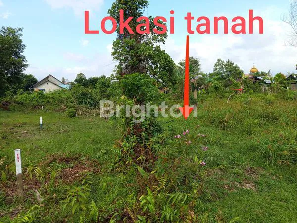 image TURUN HARGA TANAH DATAR SIAP BANGUN DI JL PROKLAMASI (6)