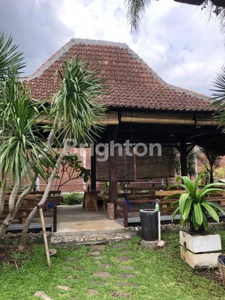 TEMPAT USAHA RUMAH MAKAN TRADISIONAL SINGOSARI MALANG