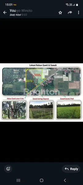 DIJUAL KEBON SAWIT & SAWAH DEKAT PEMATANG SIANTAR