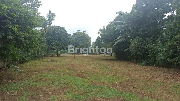 image TANAH JALAN TABRI , LEGOK (3)