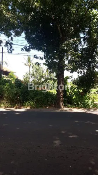 DIJUAL TANAH PINGIR JALAN UTAMA