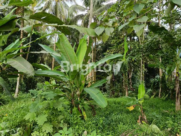 image TANAH STRATEGIS BATU AJI TABANAN (3)