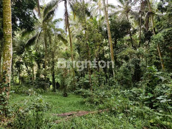 image TANAH STRATEGIS BATU AJI TABANAN (5)