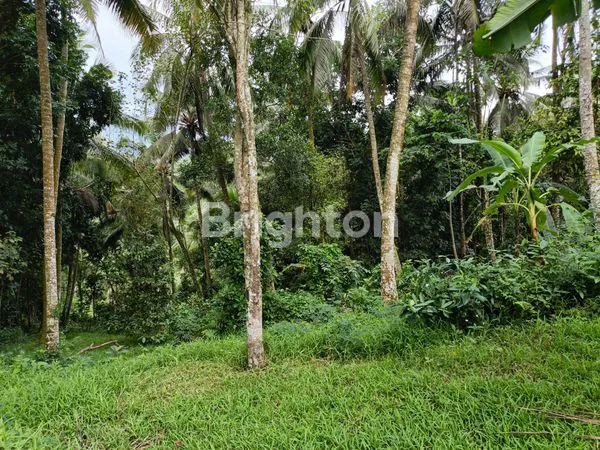 image TANAH STRATEGIS BATU AJI TABANAN (2)