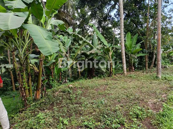 image TANAH STRATEGIS BATU AJI TABANAN (6)