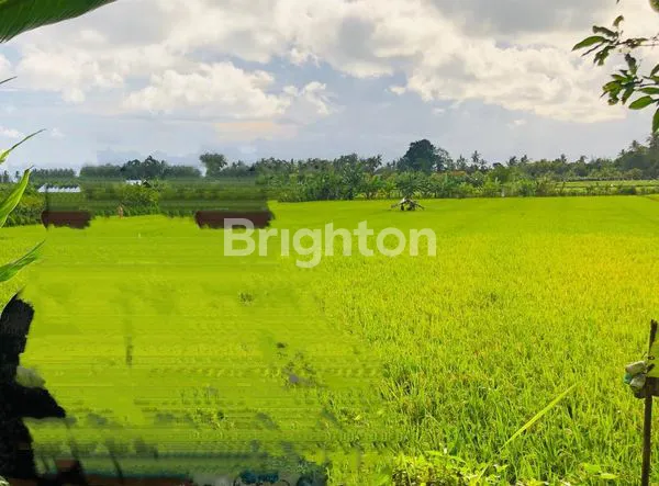 DI JUAL TANAH DI JEMBRANA