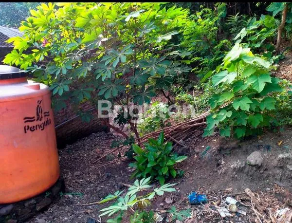 image RUMAH SIAP HUNI DI BAMBANKEREP NGALIYAN SIAP MENCARI PENGHUNI BARU (6)