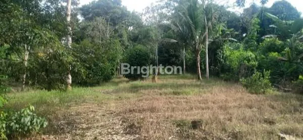 image TANAH KEBUN JALAN POROS DESA BENDANG TENGGARONG (2)