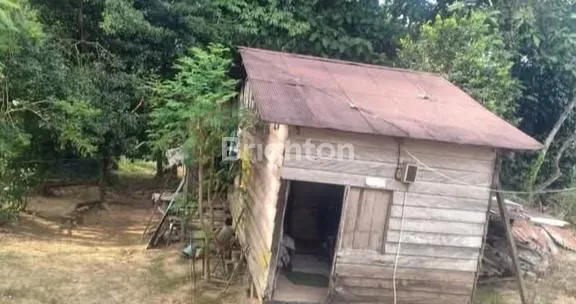 image TANAH KEBUN JALAN POROS DESA BENDANG TENGGARONG (6)