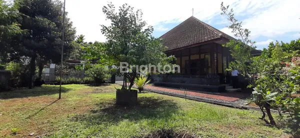 DI JUAL RUMAH BESAR DAN TANAH LUAS DI KOTA JEMBER JAWA TIMUR.