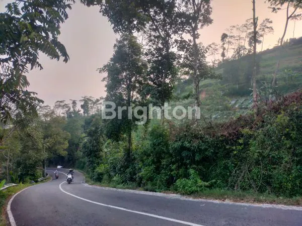 image DIJUAL TANAH AREA TEMANGGUNG (1)