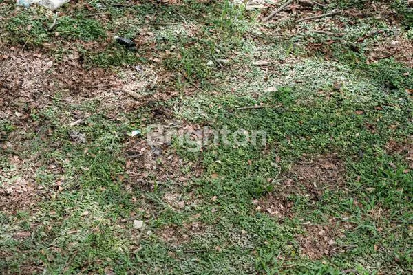 image TANAH PREMIUM 184M² DI PUSAT KOTA BANDUNG (2)