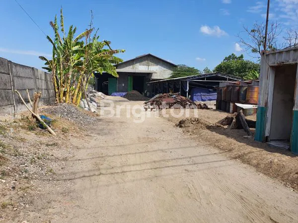 image GUDANG MOJO TENGAH (2)