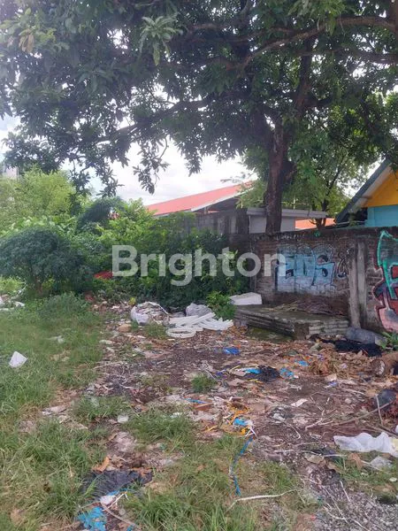 image TANAH KOSONG PINGGIR JALAN (8)