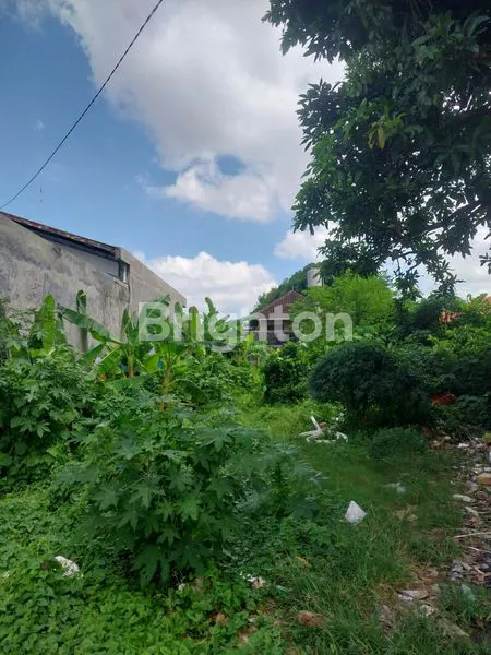 image TANAH KOSONG PINGGIR JALAN (5)