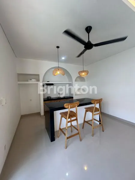 image VILLA 2 BEDROOM LOCATION PADONAN TIBUBENENG CANGGU (3)