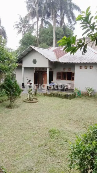 image INVESTASI AMAN RUMAH DENGAN TANAH YANG LUAS DI BOGOR  (1)