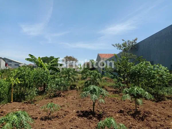 image TANAH KAVLING LEBAR 16 JALANAN HIDUP SAYAP TAMAN KOPO INDAH DEKAT KE TOL SEROJA (7)