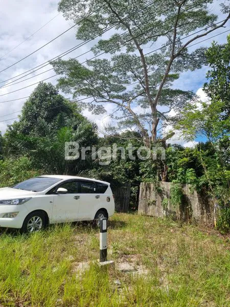 JUAL TANAH KEBUN BUAH