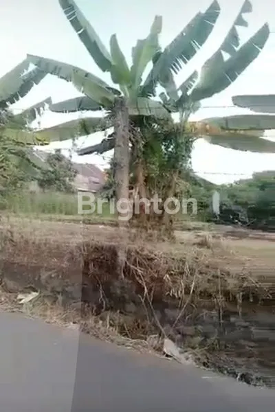 image TANAH STRATEGIS DEPOK (1)