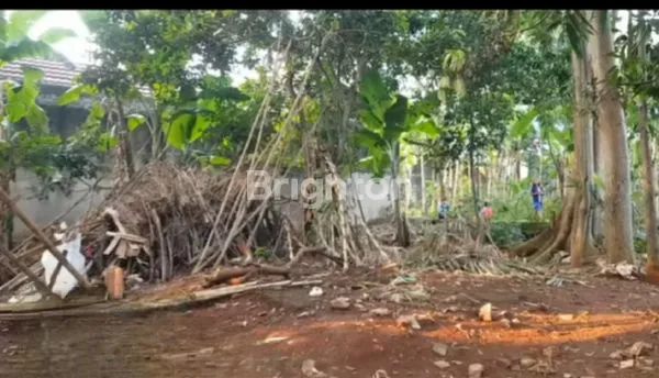 image TANAH DARAT UNTUK INVESTASI  (3)