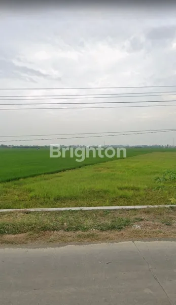 LAHAN INDUSTRI PEMALANG JAWA TENGAH, SUDAH ADA BEBERAPA INDUSTRI, LOKASI STRATEGIS AKSES BISA KONTAINER