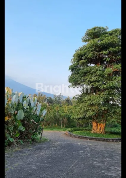 image LAHAN LKS BATU MALANG, LKS DKT RS, JATIM PARK 3, MALL, DAN ALUN ALUN (4)