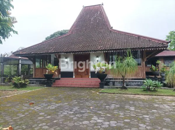image RUMAH JOGLO BONUS RANJANG KLASIK (1)