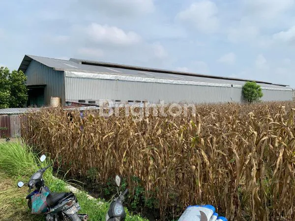 image GUDANG DI RAYA DOMAS MENGANTI (3)