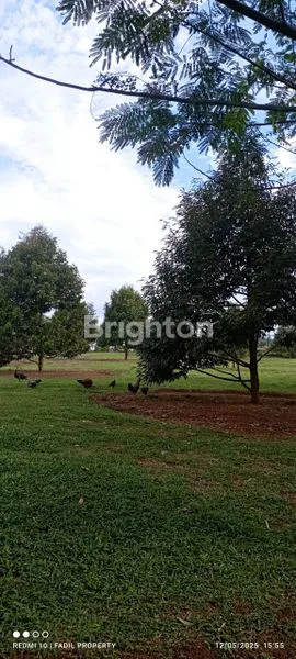 image MURAH MERIAH RUMAH VILLA JASINGA BOGOR (8)