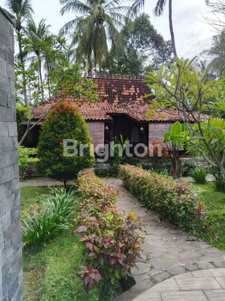 TANAH 1 HEKTAR PINGGIR PANTAI LOMBOK BERISI VILLA CANTIK