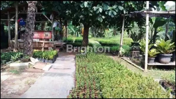 image TANAH POTENSIAL,MURAH,,JL HAJI SODON MERUYA SELATAN,,KEMBANGAN- JAKARTA BARAT (6)