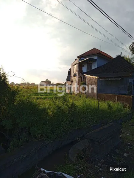 Gambar Property TANAH DIPINGGIR JALAN  DI DARMASABA