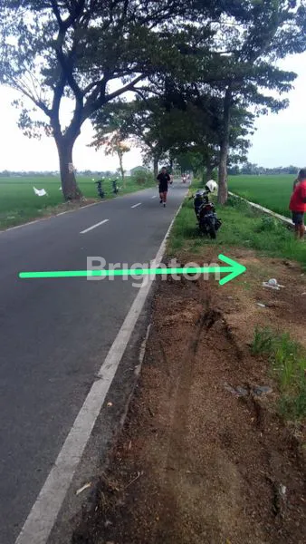 TANAH DI MASARAN ZONA MERAH