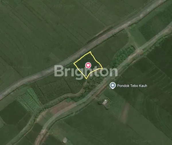image TANAH STRATEGIS 2 AKSES JALAN DI TIBUBIU – POTENSI INVESTASI & HUNIAN DEKAT PANTAI PASUT (3)