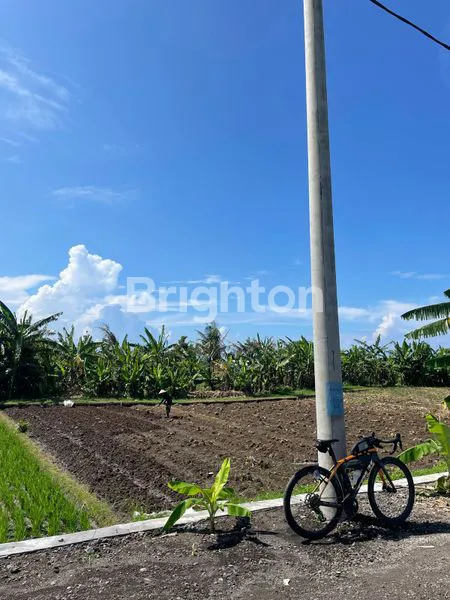 image TANAH STRATEGIS 2 AKSES JALAN DI TIBUBIU – POTENSI INVESTASI & HUNIAN DEKAT PANTAI PASUT (1)