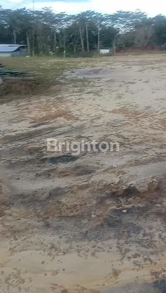 image DI KONTRAK KAN LOKASI LAHAN PARKIR TRAILER DAN KONTAINER (4)