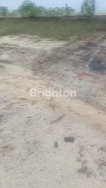 image DI KONTRAK KAN LOKASI LAHAN PARKIR TRAILER DAN KONTAINER (6)