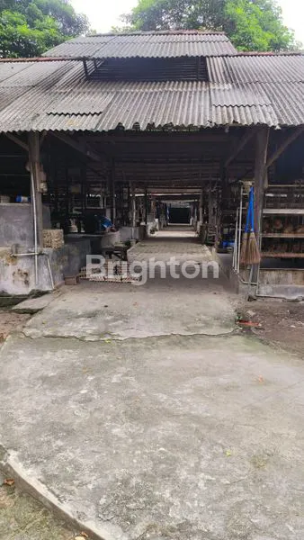 image GUDANG DAN LAHAN PETERNAKAN  LUAS DI BLITAR (2)