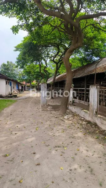 image GUDANG DAN LAHAN PETERNAKAN  LUAS DI BLITAR (4)