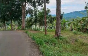 image TANAH KAVLING PINGGIR JALAN CIBADAK, JONGGOL JALUR PUNCAK 2 BOGOR (6)