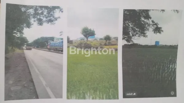 image TANAH ZONA INDUSTRI JL RAYA GRESIK - LAMONGAN (1)