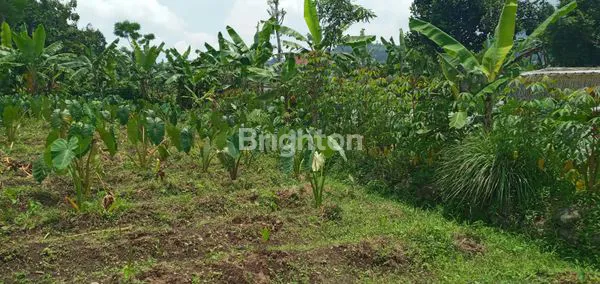 image TANAH DENGAN PEMANDANGAN GUNUNG SALAK, CIJERUK BOGOR (1)