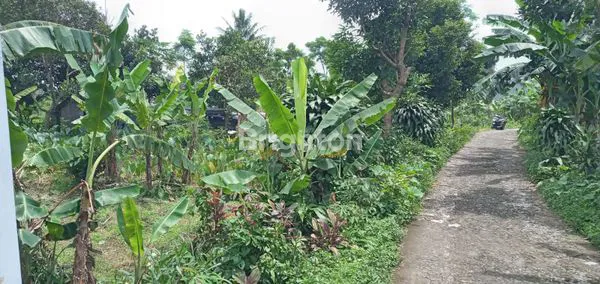 image TANAH DENGAN PEMANDANGAN GUNUNG SALAK, CIJERUK BOGOR (3)