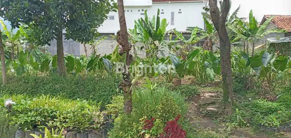 image TANAH DENGAN PEMANDANGAN GUNUNG SALAK, CIJERUK BOGOR (2)