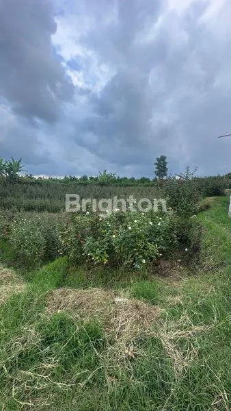 image TANAH MURAH SELUAS 1680M2 DI BATU. HANYA 2JT PER METER! (1)