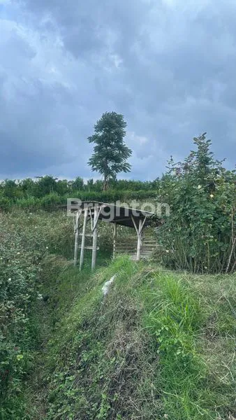 image TANAH MURAH SELUAS 1680M2 DI BATU. HANYA 2JT PER METER! (5)