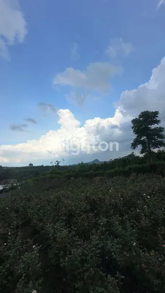 image TANAH MURAH SELUAS 1680M2 DI BATU. HANYA 2JT PER METER! (7)